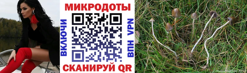 Галлюциногенные грибы мухоморы  Купить закладки  Кимры 